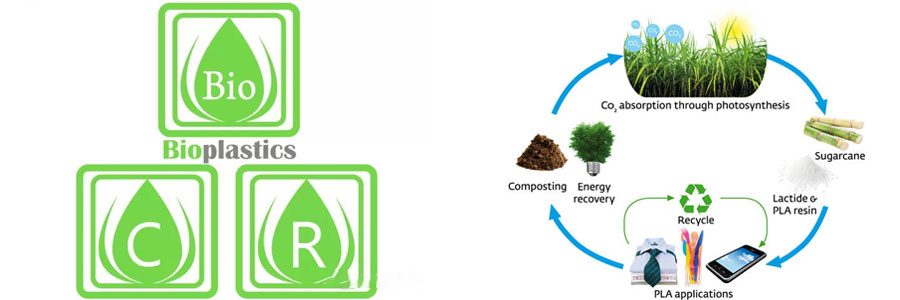 Degradable bioplastic