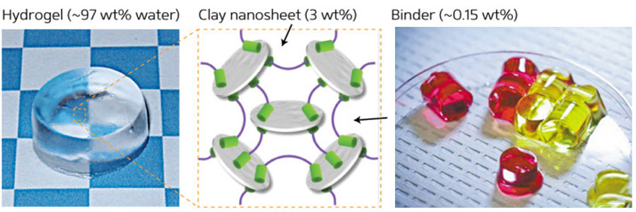 Intelligent polymer gel