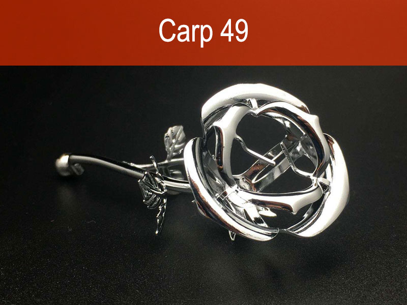 Carp 49
