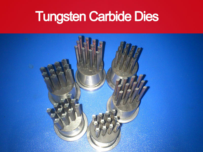 Tungsten Carbide Dies china