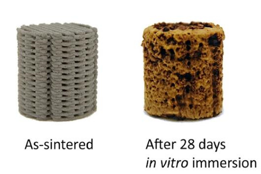 3D printed porous iron