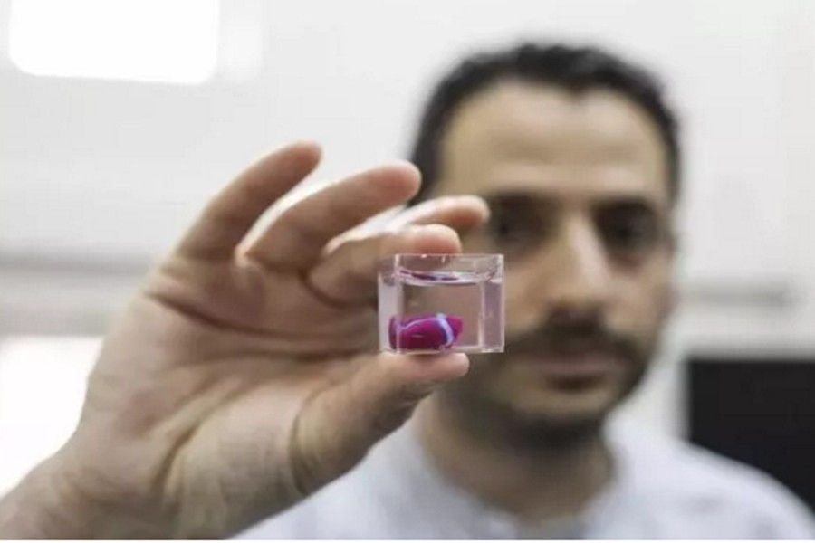  American scientists 3D print human heart tissue