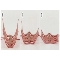3D printing and self-molding to perfectly fit the wearer's mask