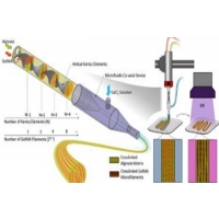 3D bioprinting technology can control the direction of cells
