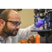 Customizable 3D bioprinting materials