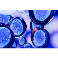Nanoscale 3D laser printing induced pluripotent stem cells