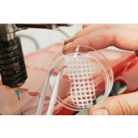 Add AI and machine vision to 3D printing