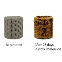 3D printed porous iron