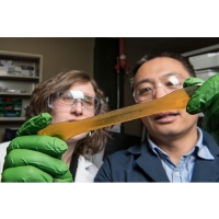​Researchers develop new methods for renewable polyurethane