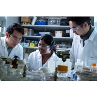 Alumina coating can protect the positive electrode of lithium-ion battery