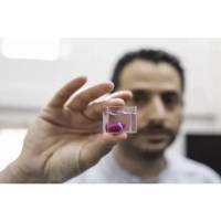 Break through the bottleneck! American scientists 3D print human heart tissue